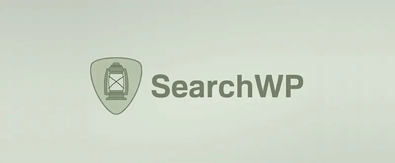 wordpress plugins to improve search