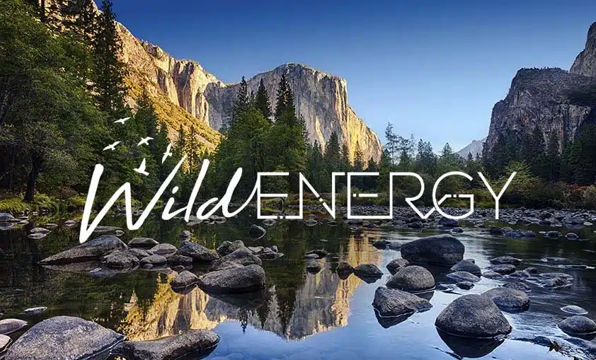 wild energy initiative case study